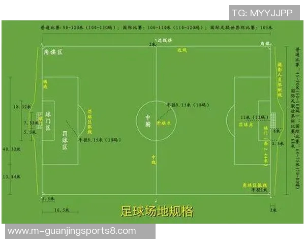 探秘世界杯标准足球场的设计理念与建设标准解析