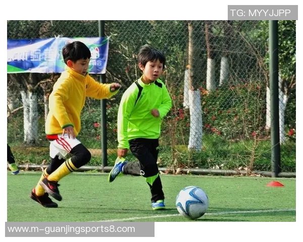 足球队员的成长之路：从青训营到职业赛场的奋斗与荣耀